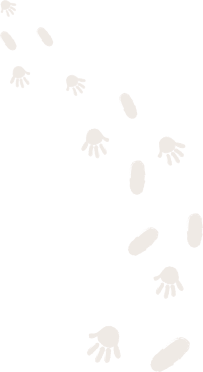 安德生醫股份有限公司